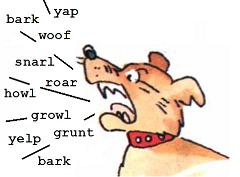 thesaurus