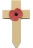 Poppy; a symbol of rememberance used by the Royal British Legion