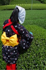 Tea picker