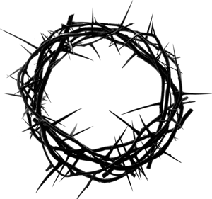 Crown of thorns