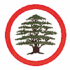 Lebanese Forces Logo