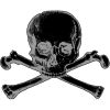 https://www.seiyaku.com/images/skull-and-crossbones.jpg